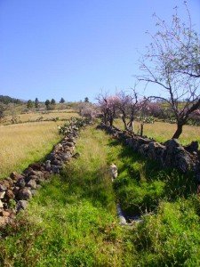 Wanderung-El-Paso-Wanderweg , Weiter auf Pfad Wanderung-El-Paso-Wanderweg , Weiter auf Pfad