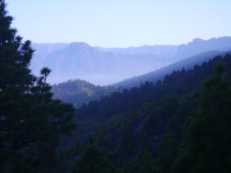 Blick zum Bejenado, der Hausberg von El Paso. Am Vormittag  erscheint die Landschaft dunstig. La Palma