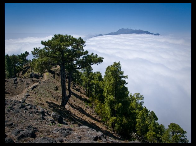 Auf dem Weg zur Punta de los Roques-La Palma-Wandern-Faber Yvonne