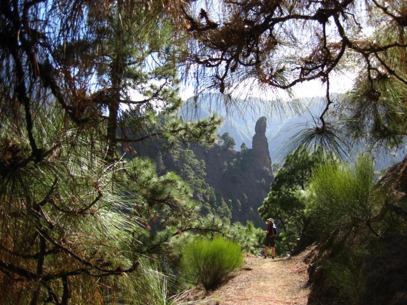 La Palma-Wandern-Caldera de Taburiente-Roque Idafe