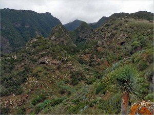 La Palma-Wandern-Barranco Fagundo