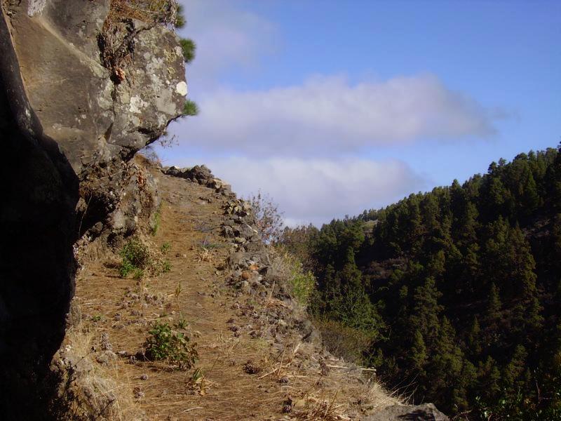  La-Palma-Wanderweg-bei-Tijarafe