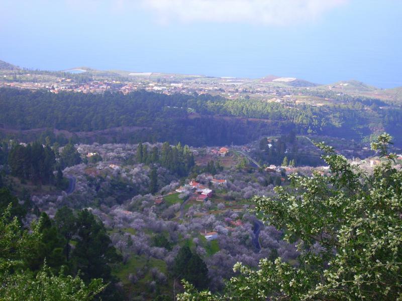 La-Palma-Wanderwege-von-Puntagorda