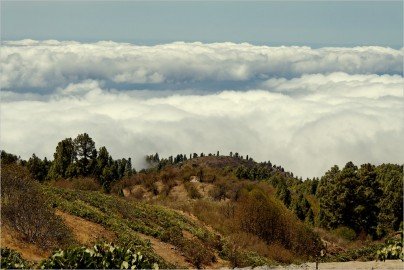 La Palma-Wandern-In den Weinbergen von Puntagorda-Ralf Köhler