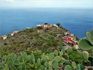  La-Palma-Tablado-Ralf-Köhler