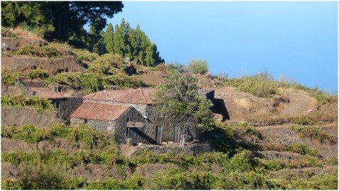 La Palma Wandern-Weinberghaus mit alter Weinpresse bei Briesta