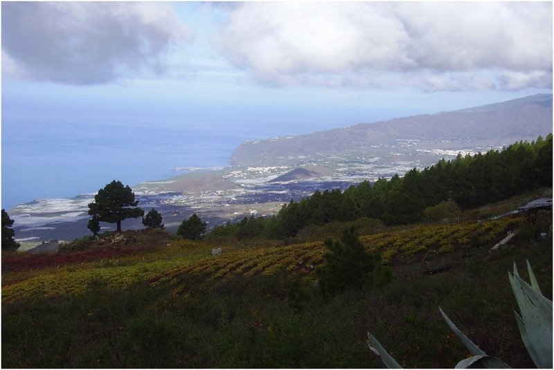 La-Palma-Wanderungen-Ausblick-ins-Aridanetalpg