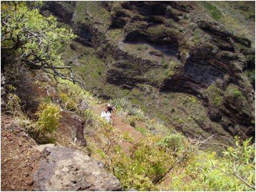 La Palma Wandern Wanderweg GR 130.