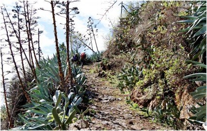 La Palma Wanderwege-Auf alten Pfaden