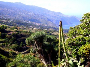 La Palma Wanderwege La Tosca