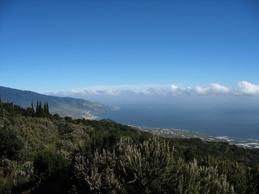 La Palma auf dem Wanderweg SL LP 123
