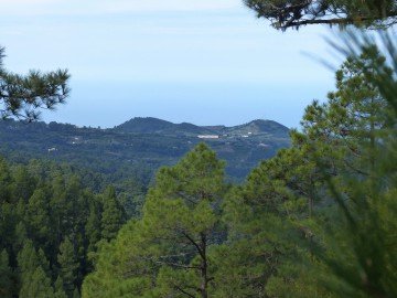 La Palma Wanderungen Spazierwanderung Roque Faro