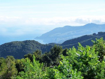 La Palma Wandern Ausblick auf die Steilküste