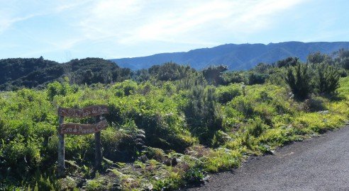 La Palma Wanderungen Die Quellentour des Nordens