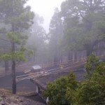 Fuente de Los Roques im Nebel, La Palma