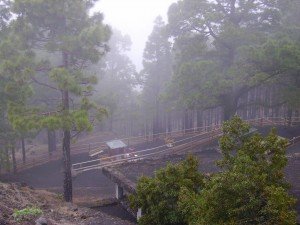 Fuente de Los Roques im Nebel, La Palma