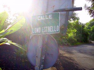 Dieser Straße folgen, La Palma, Wandern,