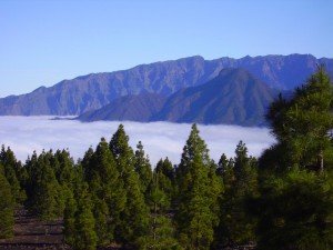 Blick zum Bejenado,La Palma,Wandern,