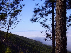Der erste Blick Richtung El Hierro,La Palma Wandern,