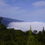 La Palma, Wandern, Blick Richtung Cumbre Nueva