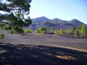 Llano de Jable , im Hintergrund der Pico Birigoyo, La Palma