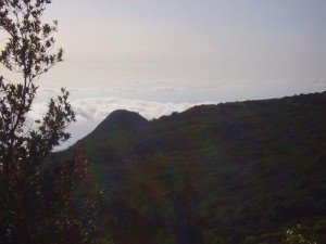 La Palma, Wandern, unser Wanderziel der Roque Niquiomo