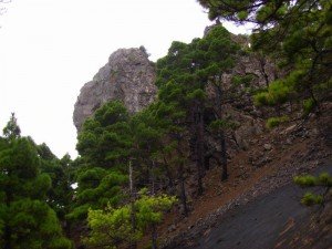 Rest eines Vulkanschlots,La Palma,Wandern