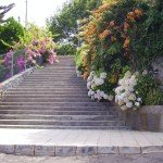 La-Palma-Aufgang zur Hauptstraße ein Blumenmeer