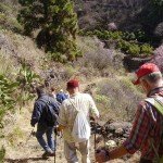 La-Palma-Wandern-Auf-einem-Camino-Real