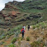 La Palma- Wandern-Im Barranco Fagundo