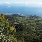 La Palma-Landschaft bei Mazo