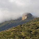 La Palma-Wanderung-Mazo