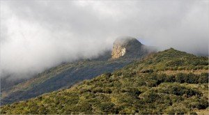 La Palma-Wanderung-Mazo