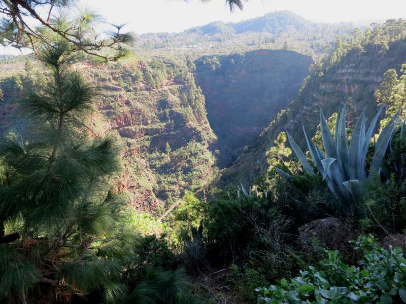 La Palma Wandern, der Wanderweg PR LP 11.1, der Barranco Izcagua