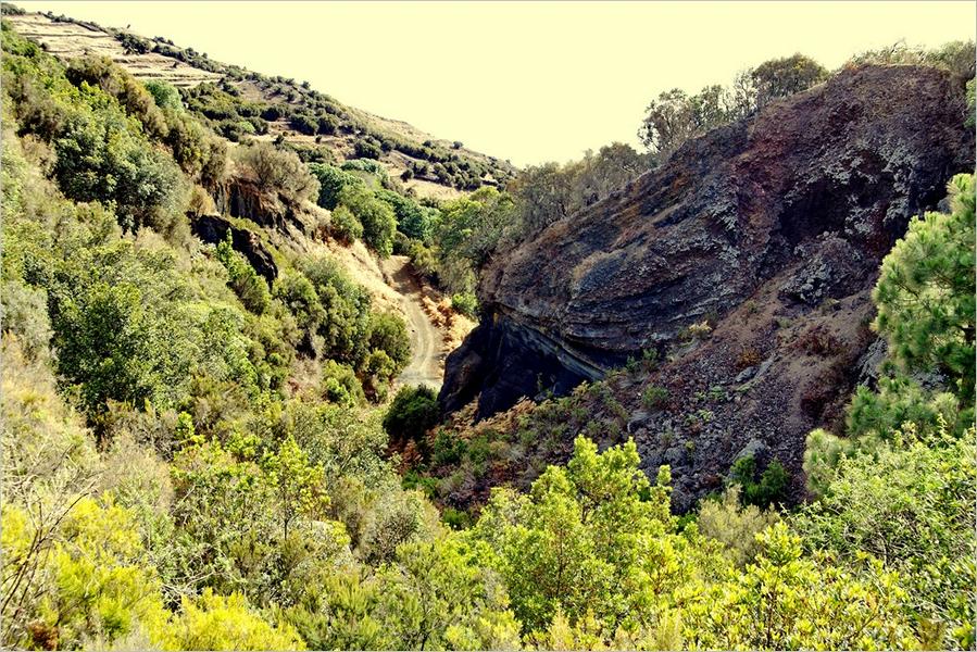 La Palma Wandern-Wanderweg PR LP 16.1 unterhalb des Vinijore