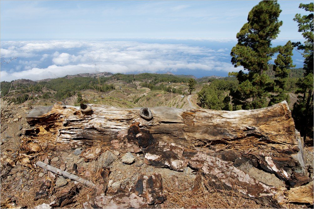 La Palma-Wanderung-Puntagorda-Ausblick der besonderen Art Ralf Köhler