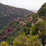 La Palma Wanderweg-PR LP 9.2b