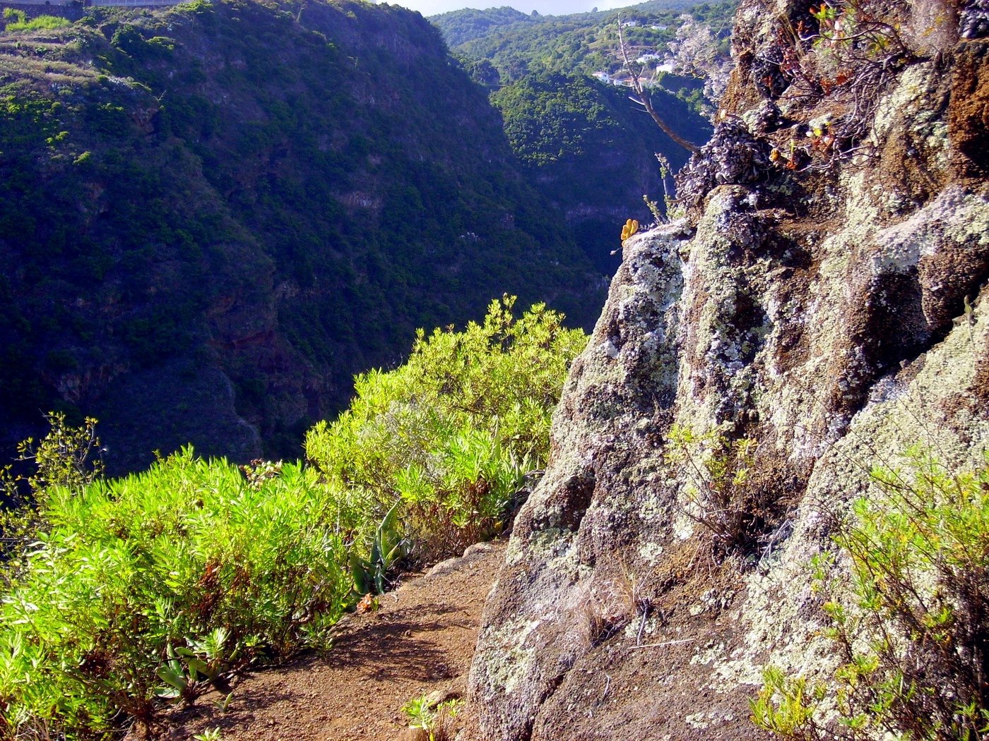 La Palma Wandern-Pfad im Barranco Nogales