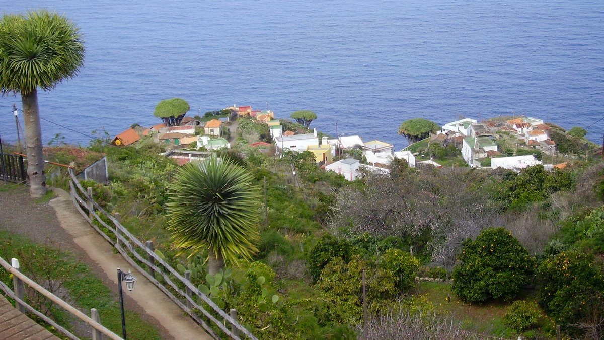 El Tablado: Idyllischer Weiler im Nordwesten La Palmas, wunderschöne Drachenbäume stehen im Weiler