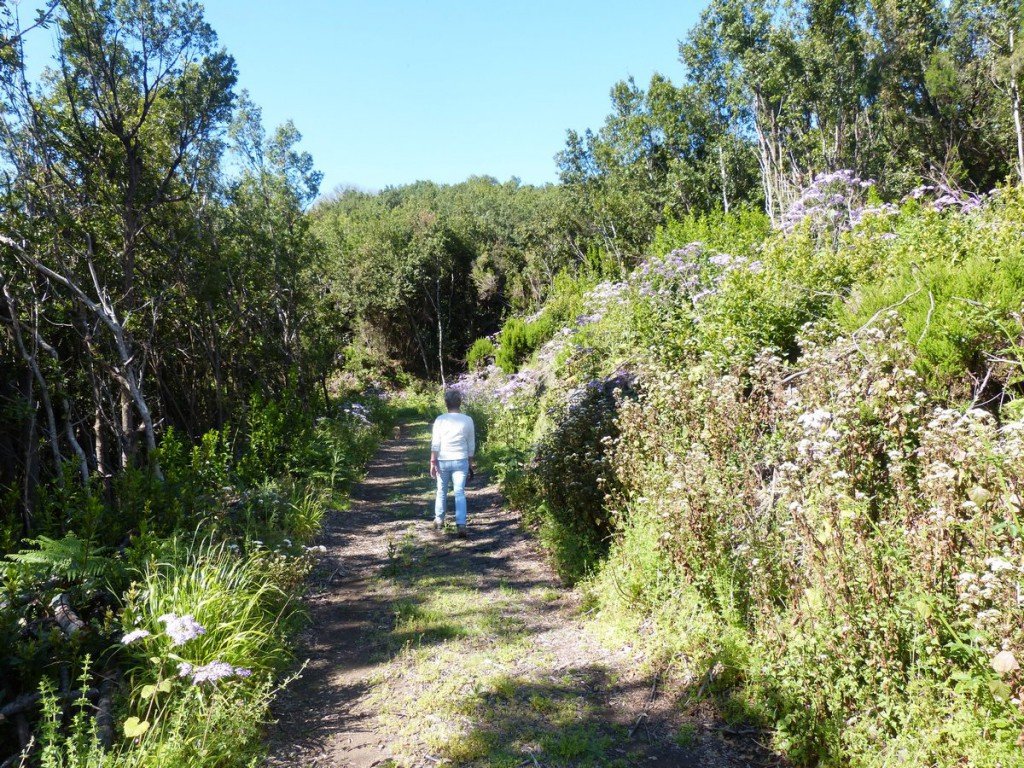 Rundwanderung bei Mazo im Osten der Insel La Palma 5 Rundwanderung bei Mazo im Osten der Insel La Palma