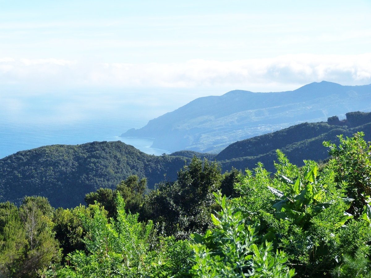 San Antonio: Quellenwanderung im grünen Norden, La Palma, Ausblick auf die Steilküste