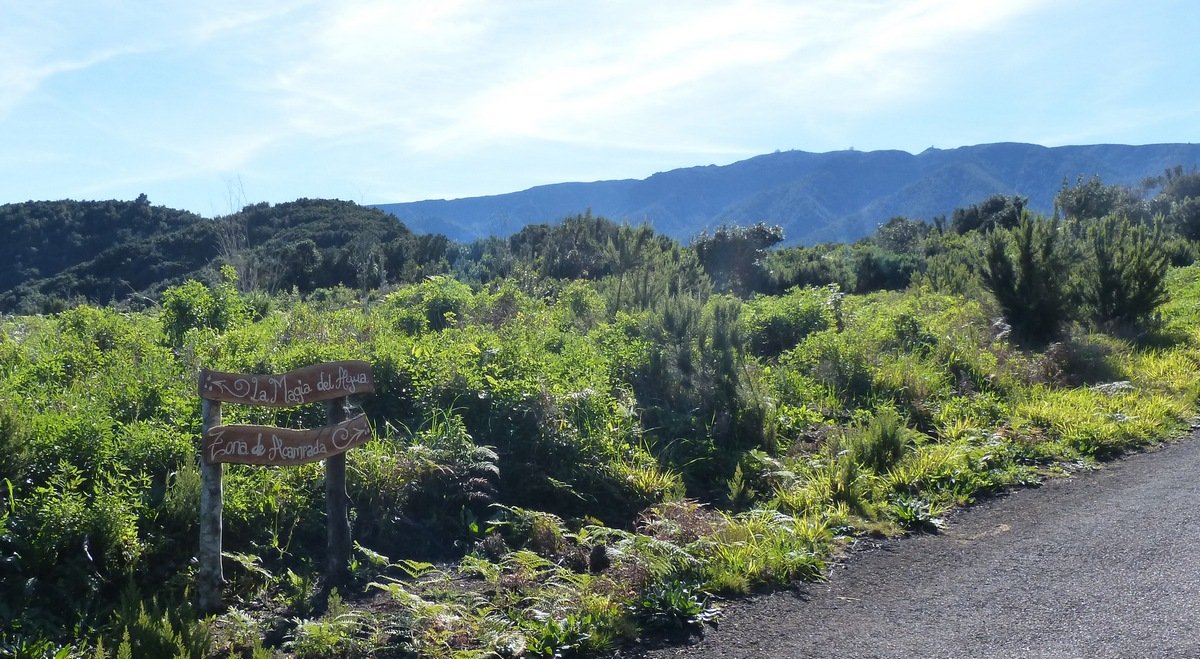 San Antonio: Quellenwanderung im grünen Norden, La Palma, die Quellentour des Nordens