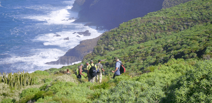 Das Klima auf La Palma ist ideal für deinen Wanderurlaub