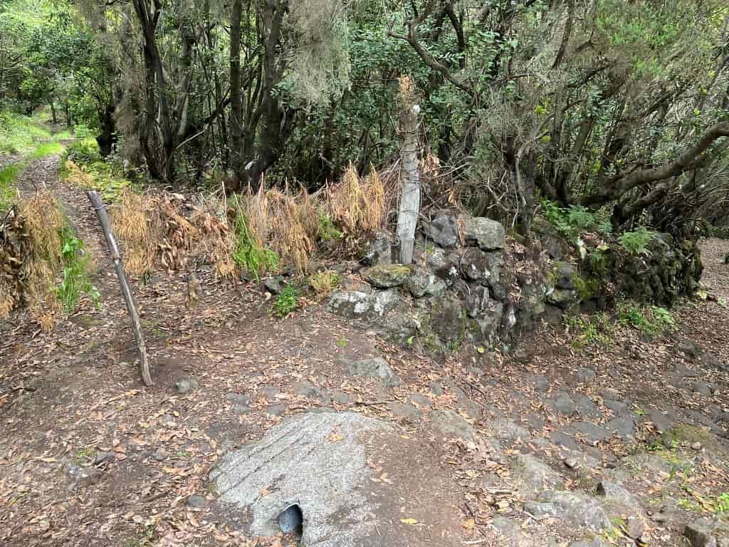 La Palma Wandern Mirador Las Toscas Abzweig LP 17 Hinweis Abzweig LP 17 jetzt weist du wie der Abzweig zu erkennen ist!