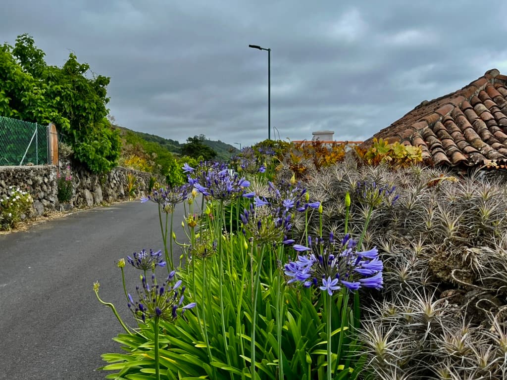 la palma wandern mazo küstenwanderweg auf dem Küstenwanderweg bei Mazo la palma
