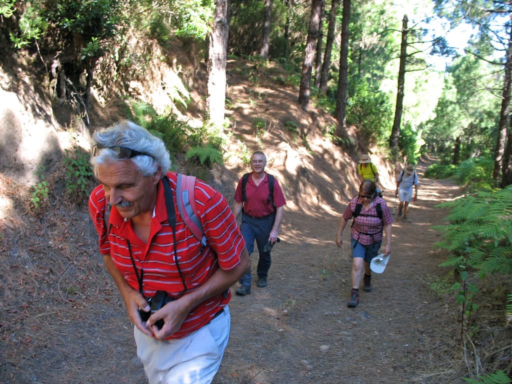 Auf dem Wanderweg PR LP 20 Richtung Wanderweg PR LP 4