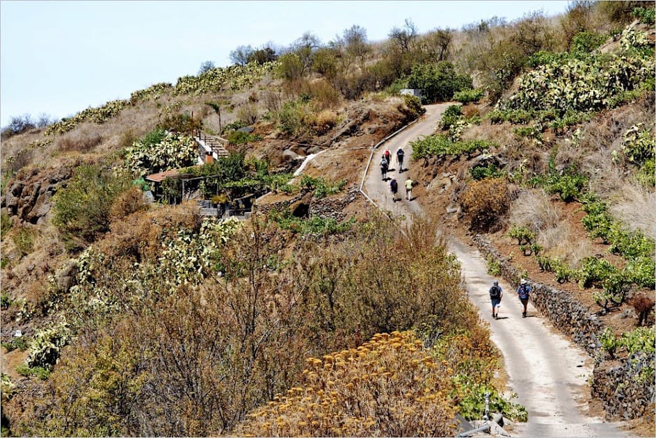 Rundwanderung im Bereich Briestas auf dem Wanderweg PR LP 10 einige Wanderer wandern durch weinberge